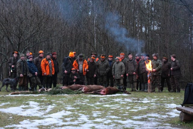Polowanie Wigilijne 2013